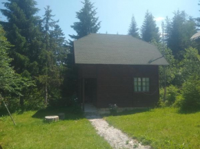 Apartmani Gnezdo